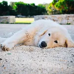 Masseria Pilano *