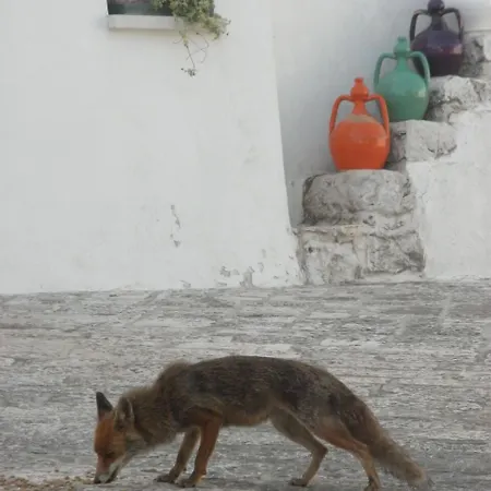 Vakantieboerderij Masseria Pilano Crispiano